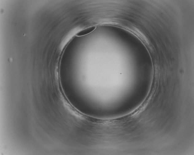 X0000075840814200609221703