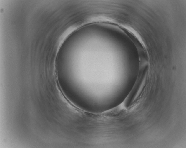 X0000075840815200609221703