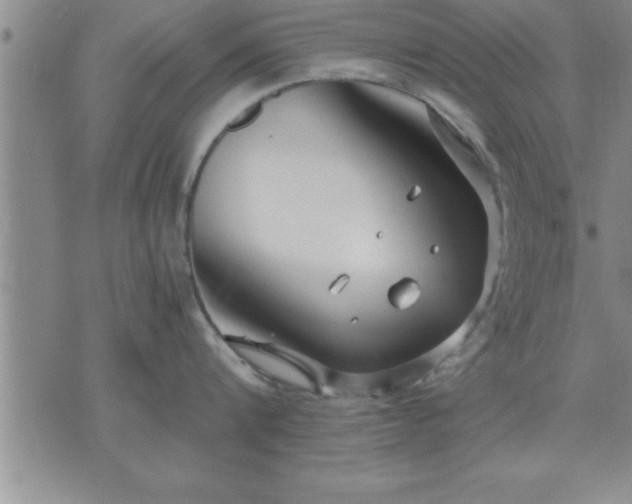 X0000075840816200609221703