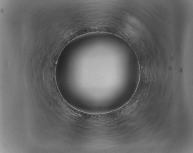 X0000075840817200609221702