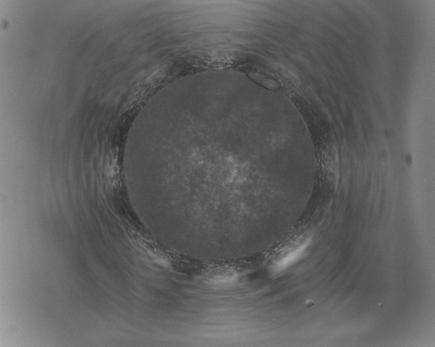 X0000075840818200609221702