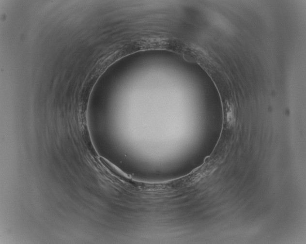 X0000075840819200609221703