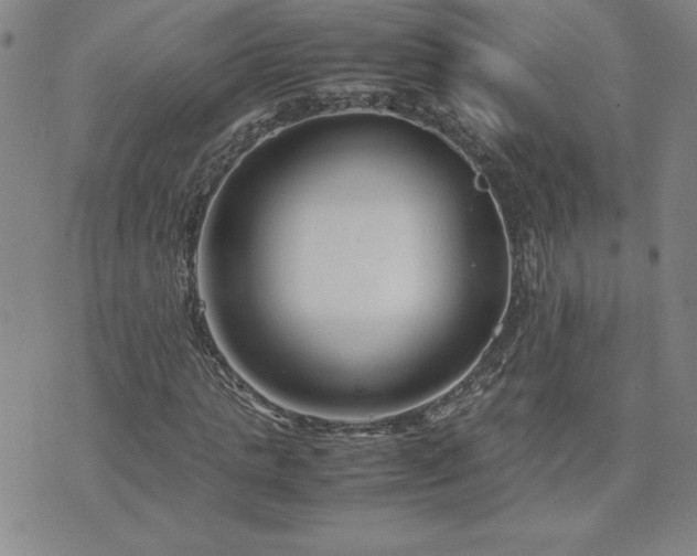 X0000075840821200609221703