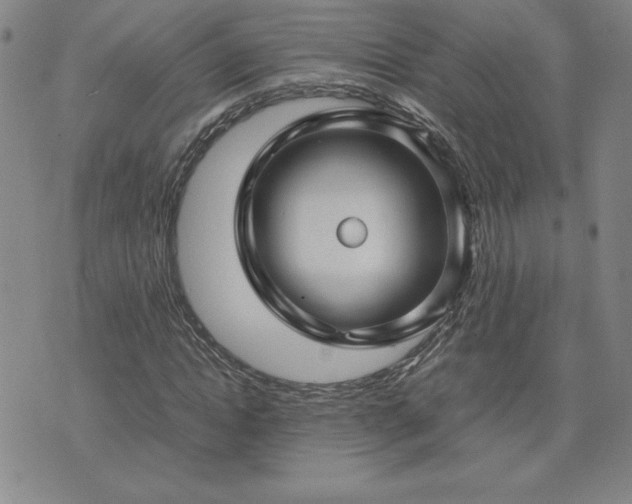 X0000075840822200609221703