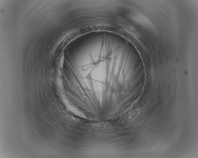 X0000075840823200609221703