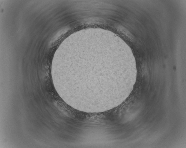 X0000075840824200609221703