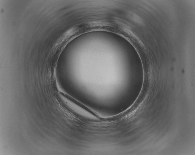 X0000075840825200609221703