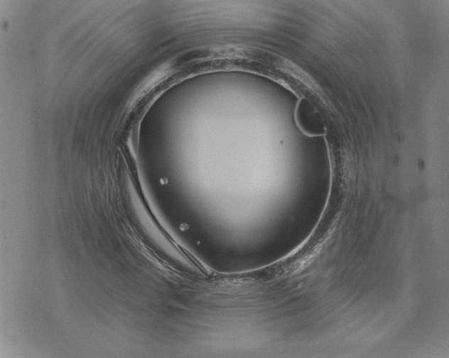 X0000075840826200609221703