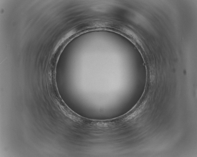 X0000075840827200609221703