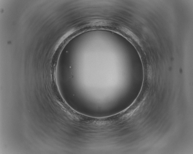 X0000075840829200609221703