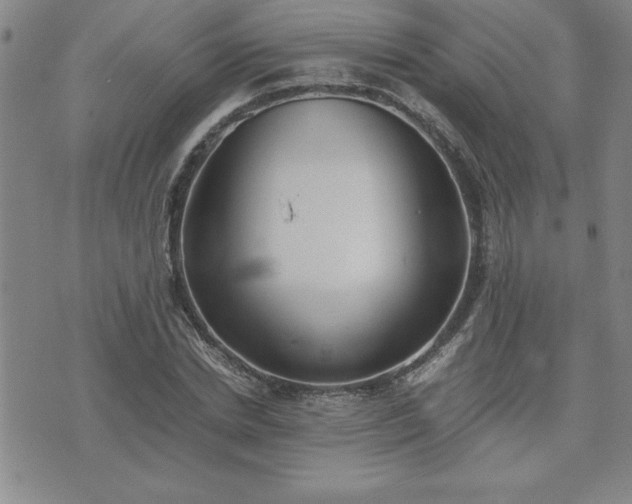 X0000075840830200609221703