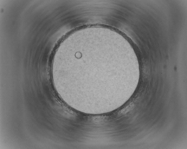 X0000075840832200609221703