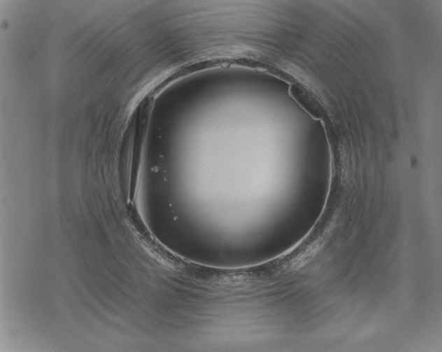 X0000075840834200609221703