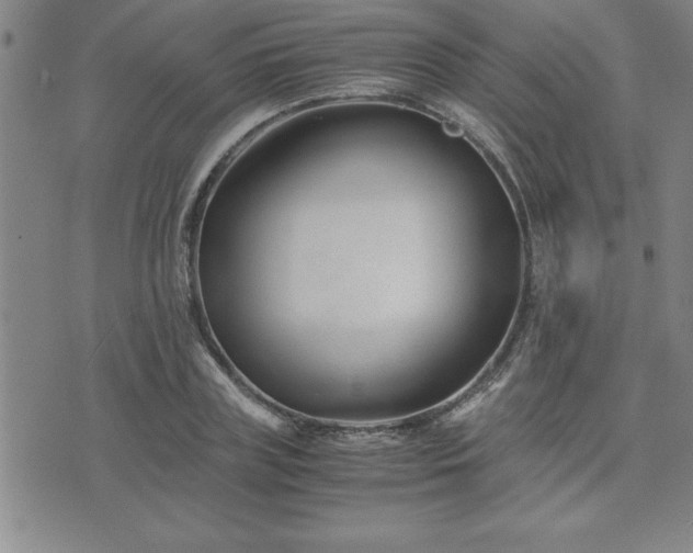 X0000075840835200609221703