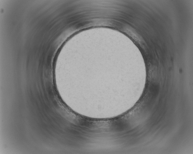 X0000075840836200609221703