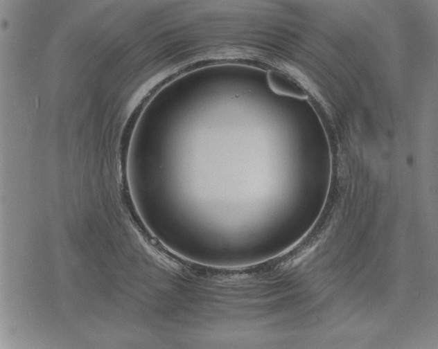 X0000075840837200609221703