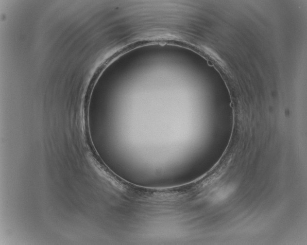 X0000075840840200609221703