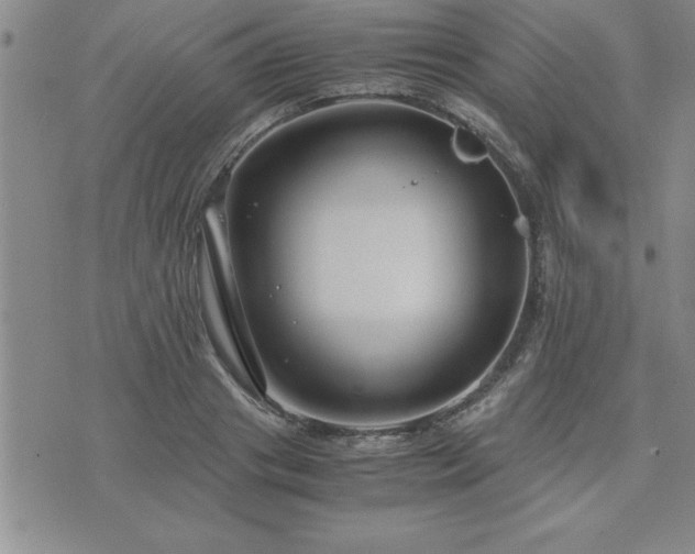 X0000075840841200609221703