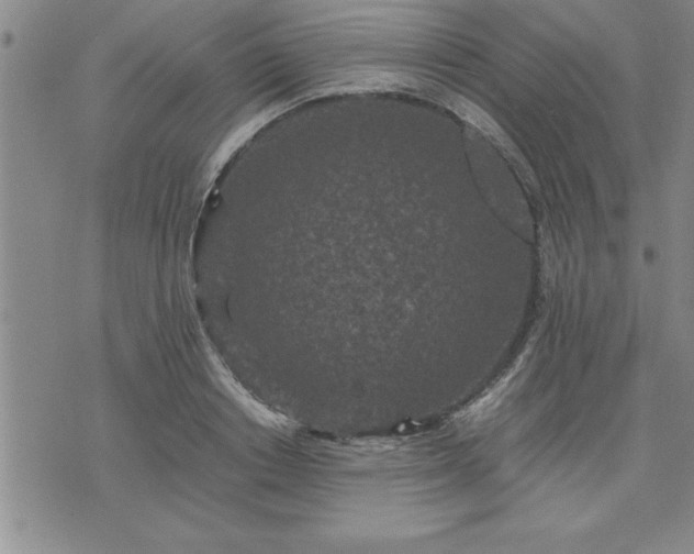 X0000075840842200609221703