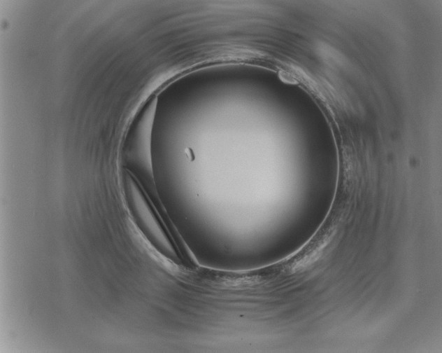 X0000075840843200609221703