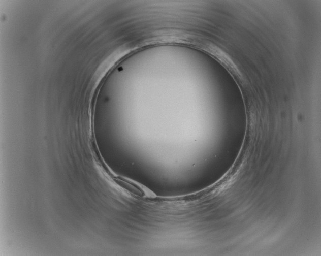 X0000075840844200609221703