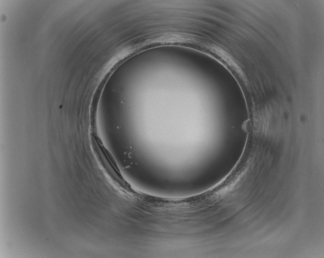 X0000075840845200609221703