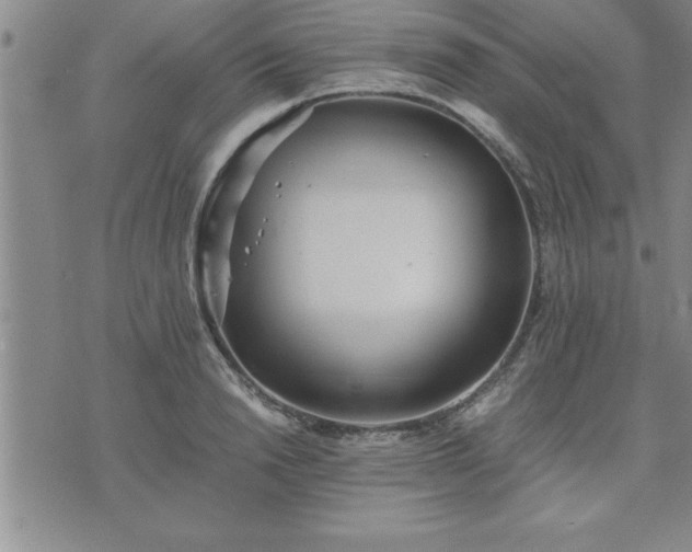 X0000075840846200609221703