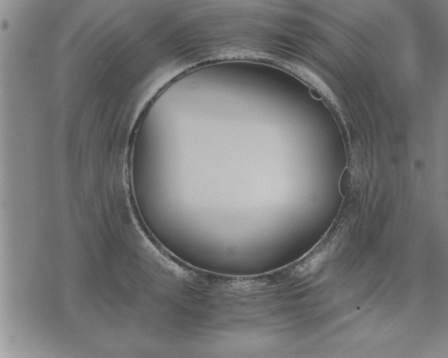 X0000075840847200609221703