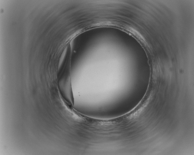 X0000075840849200609221703