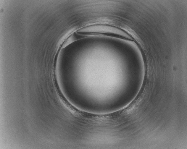 X0000075840850200609221703