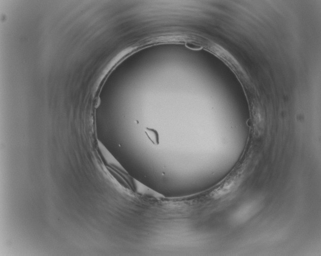 X0000075840852200609221703