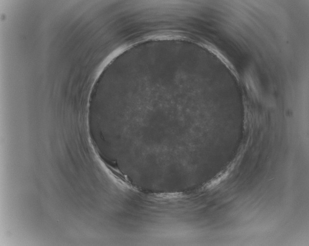 X0000075840853200609221703