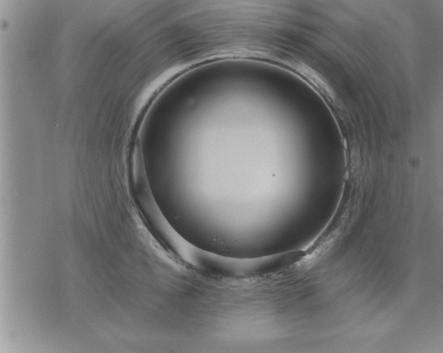 X0000075840854200609221703