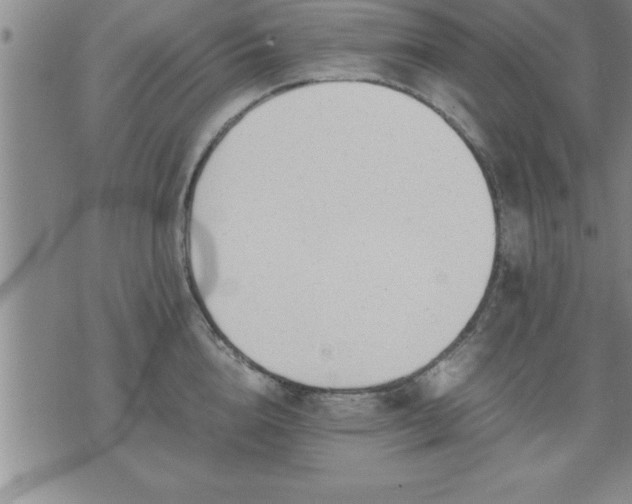 X0000075840856200609221703