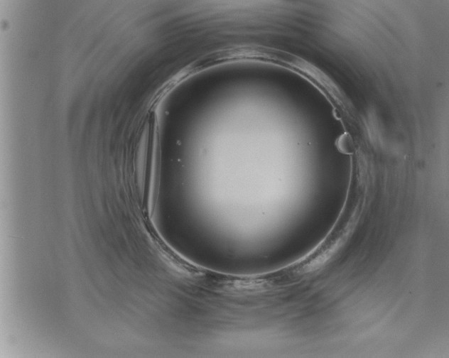 X0000075840857200609221703