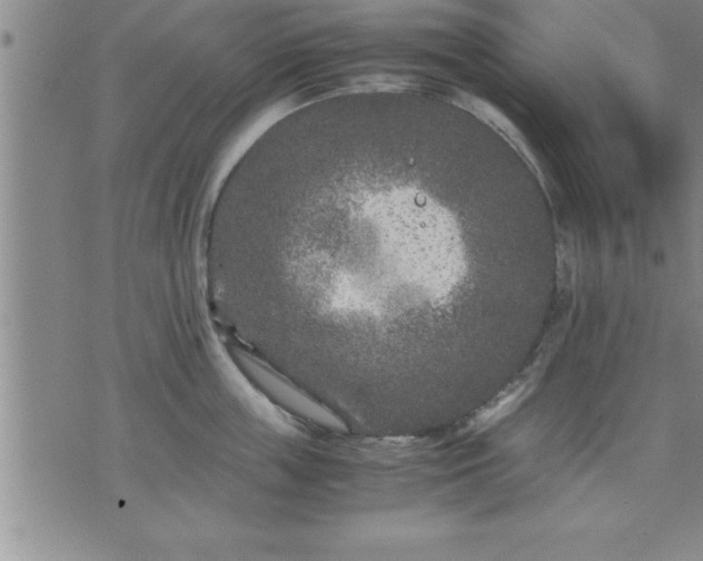 X0000075840859200609221703