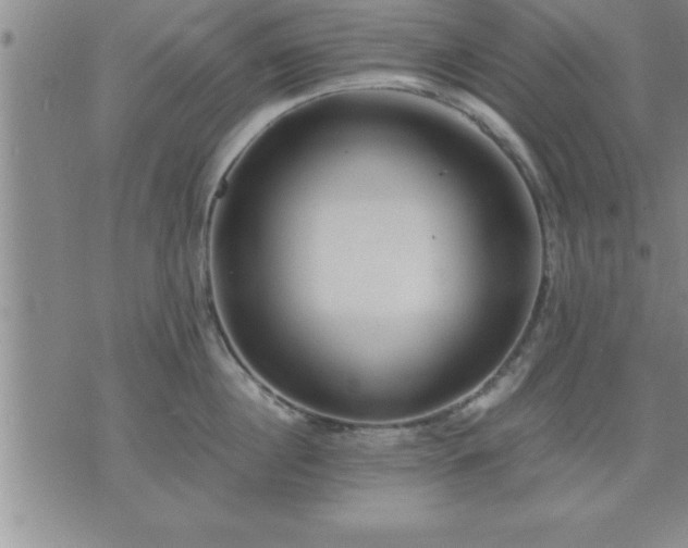 X0000075840860200609221703