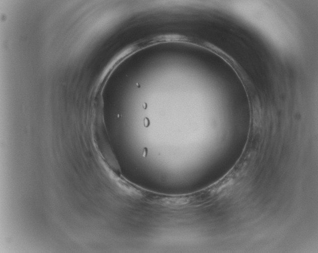 X0000075840861200609221703