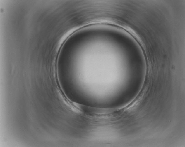 X0000075840862200609221703