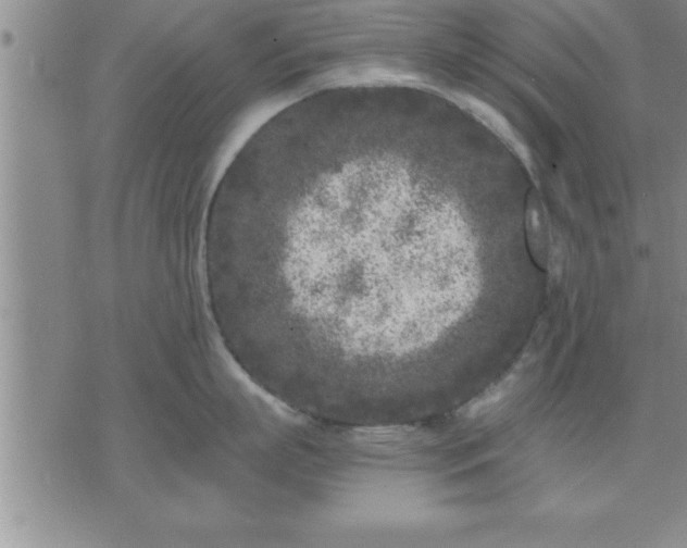 X0000075840863200609221703