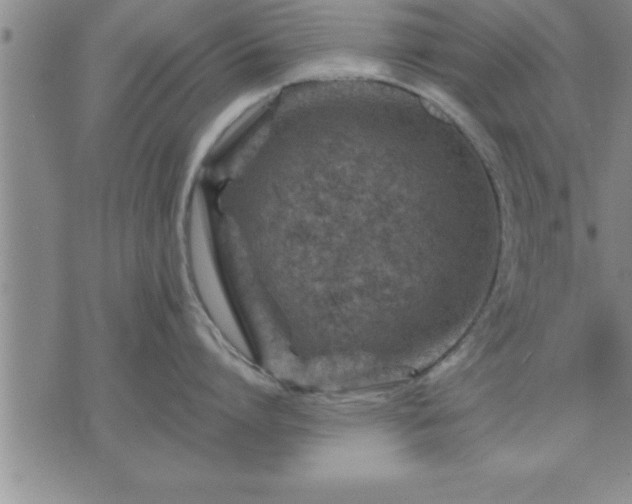 X0000075840864200609221703