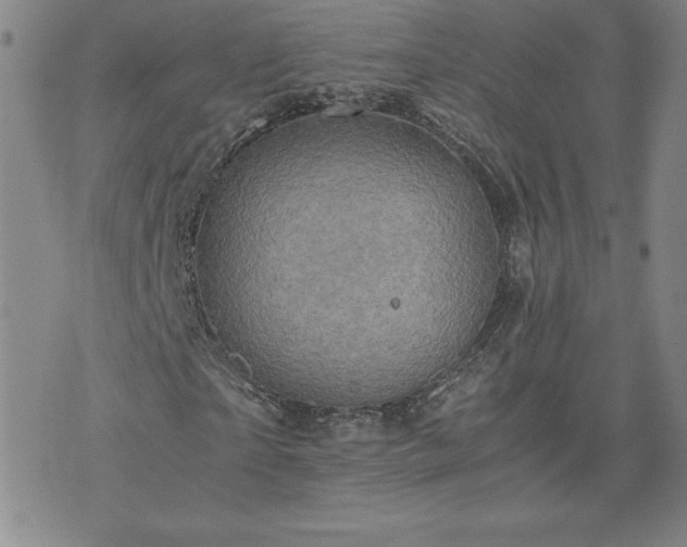 X0000075840865200609221702