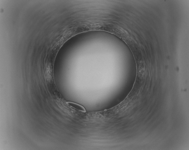 X0000075840866200609221702