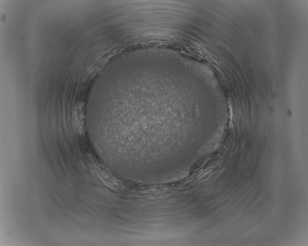 X0000075840868200609221702