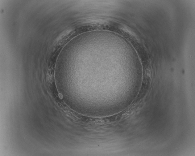 X0000075840869200609221702