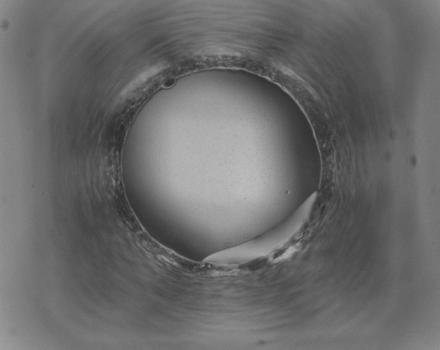 X0000075840870200609221702