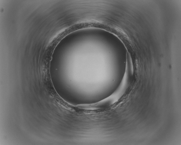 X0000075840872200609221702