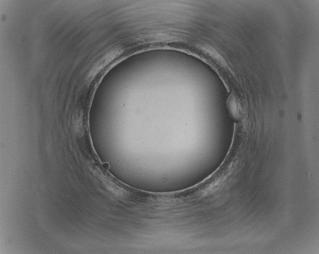 X0000075840873200609221702