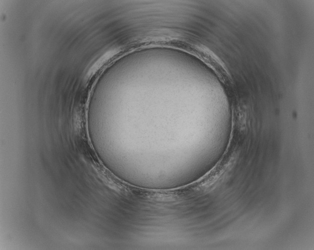 X0000075840874200609221702