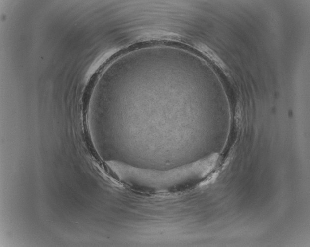 X0000075840877200609221702